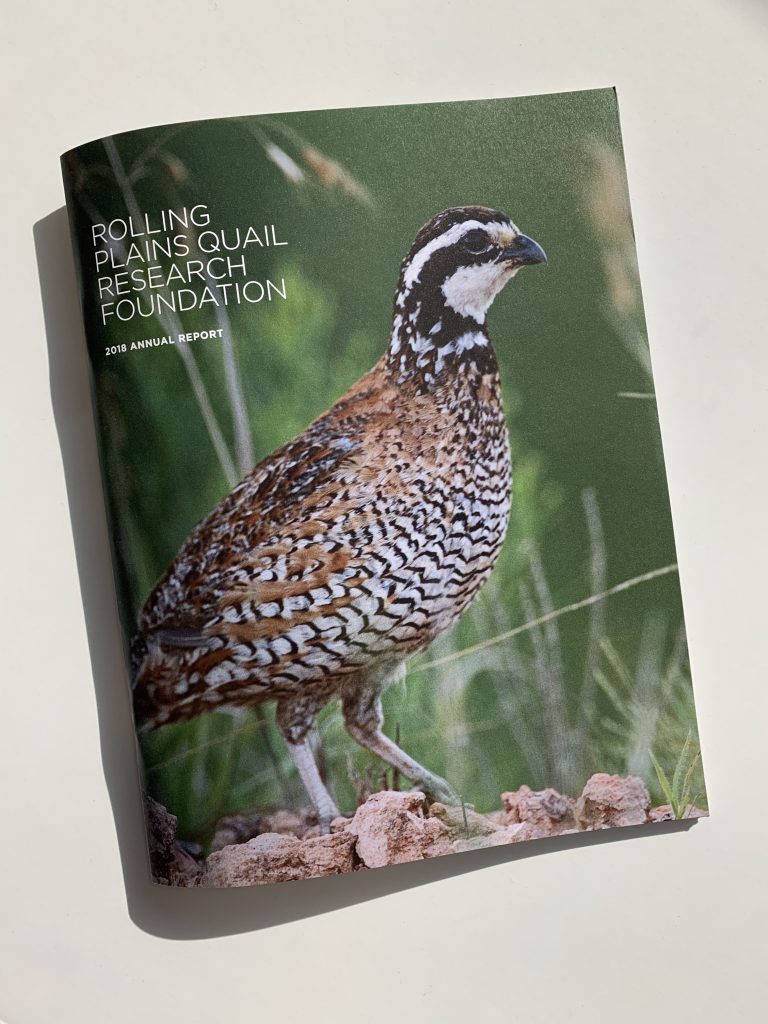 Why Did The Quail Cross The Road? SullivanPerkins