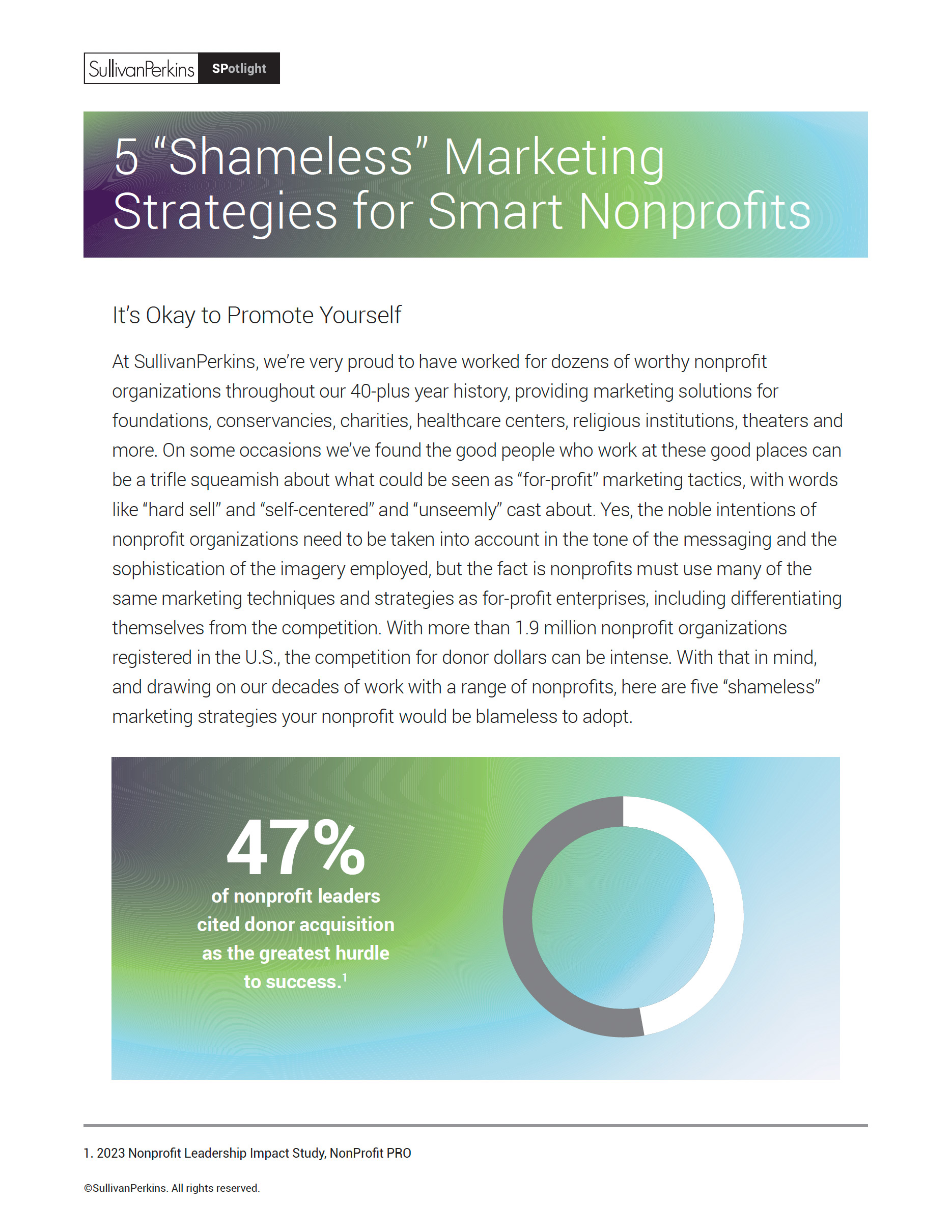 5 “Shameless” Marketing Strategies for Smart Nonprofits